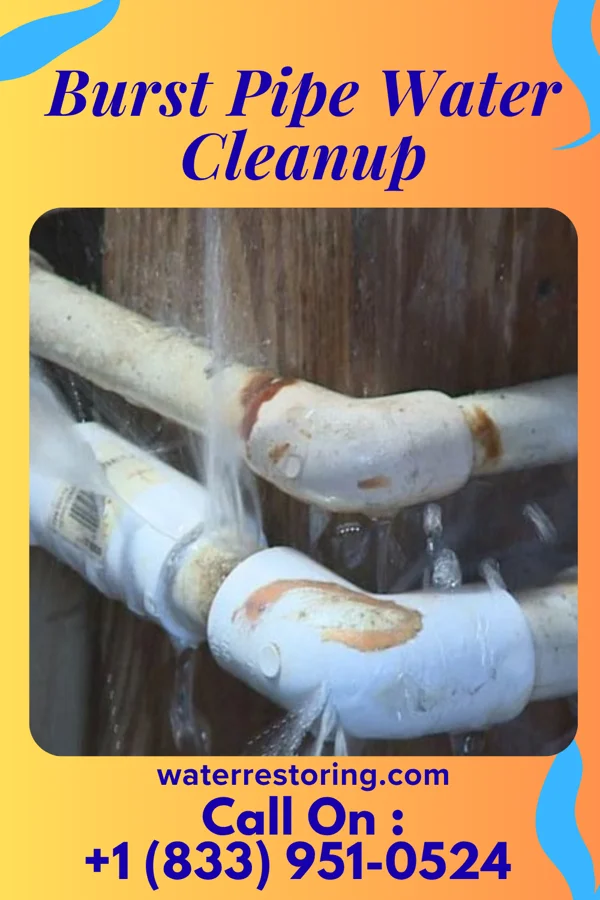 Burst Pipe Water Cleanup in Port Morris, NJ