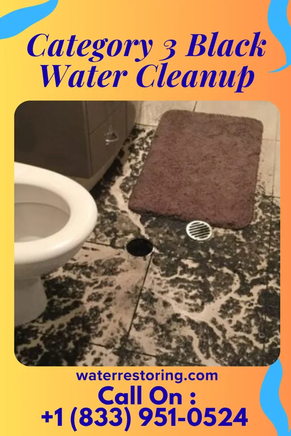 Category 3 Black Water Cleanup in Port Morris, NJ