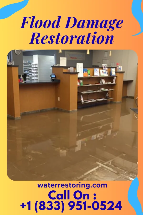 Flood Damage Restoration in Port Morris, NJ