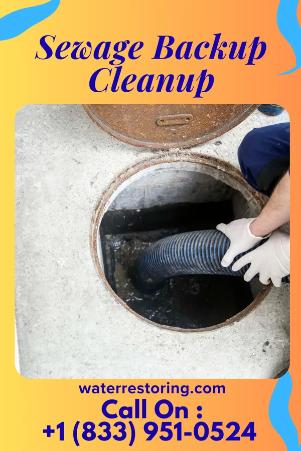 Sewage Backup Cleanup in Port Morris, NJ