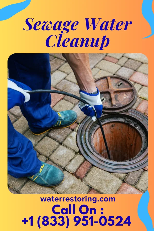 Sewage Water Cleanup in Port Morris, NJ